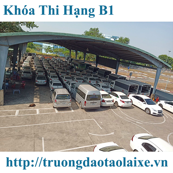 Tuyển sinh khóa học lái xe ô tô hạng B1
