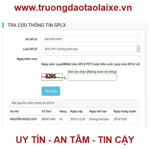 Hướng dẫn tra cứu Giấy phép lái xe đơn giản và nhanh chóng nhất